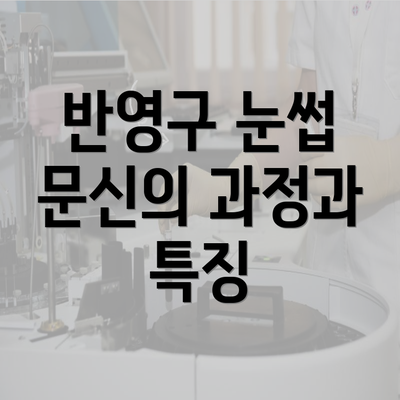 반영구 눈썹 문신의 과정과 특징