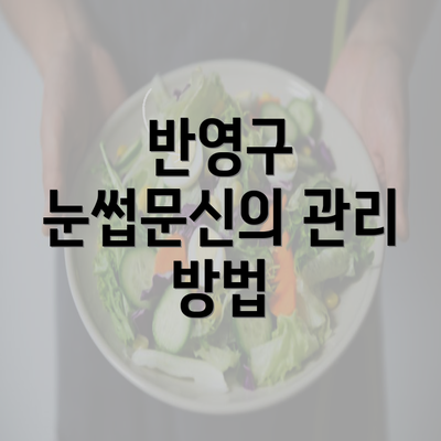 반영구 눈썹문신의 관리 방법