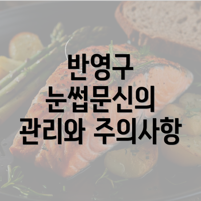 반영구 눈썹문신의 관리와 주의사항