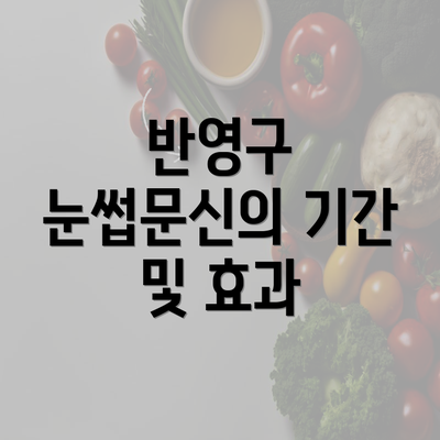 반영구 눈썹문신의 기간 및 효과