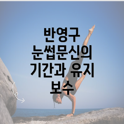 반영구 눈썹문신의 기간과 유지 보수