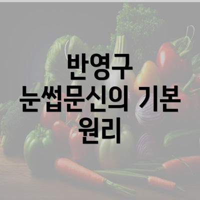 반영구 눈썹문신의 기본 원리