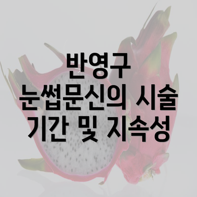 반영구 눈썹문신의 시술 기간 및 지속성