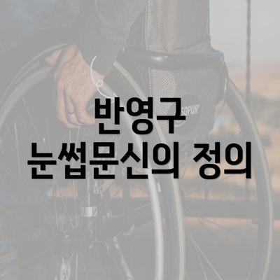 반영구 눈썹문신의 정의