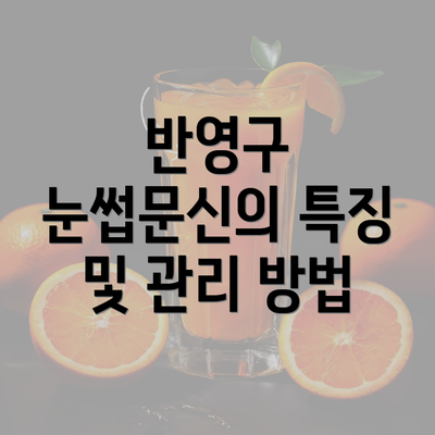 반영구 눈썹문신의 특징 및 관리 방법