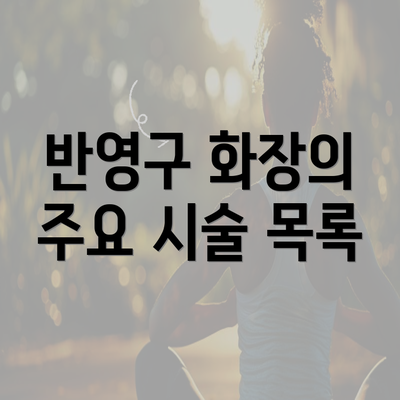 반영구 화장의 주요 시술 목록