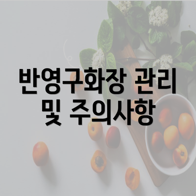 반영구화장 관리 및 주의사항