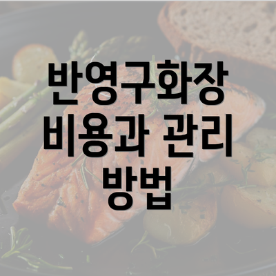 반영구화장 비용과 관리 방법