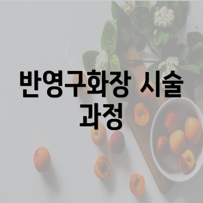 반영구화장 시술 과정