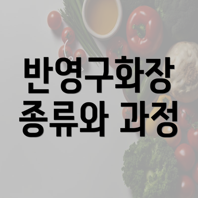 반영구화장 종류와 과정