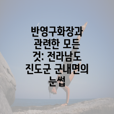 반영구화장과 관련한 모든 것: 전라남도 진도군 군내면의 눈썹