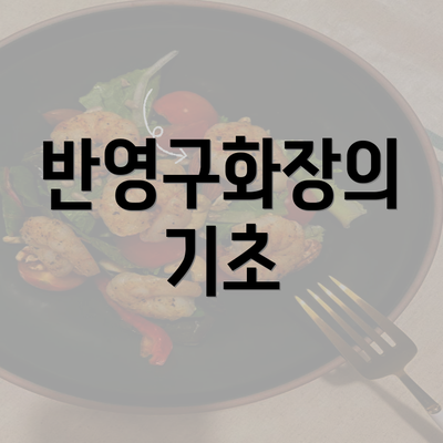 반영구화장의 기초