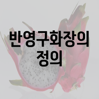 반영구화장의 정의