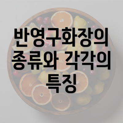 반영구화장의 종류와 각각의 특징