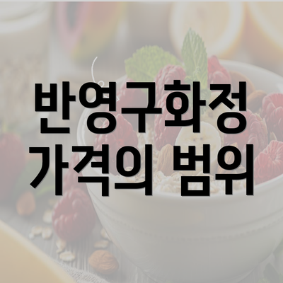 반영구화정 가격의 범위