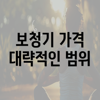 보청기 가격 대략적인 범위