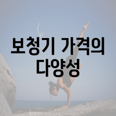 보청기 가격의 다양성