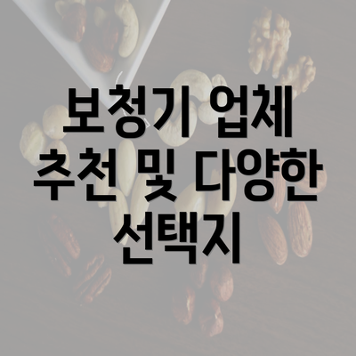 보청기 업체 추천 및 다양한 선택지