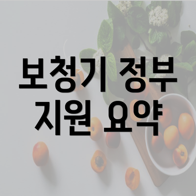 보청기 정부 지원 요약