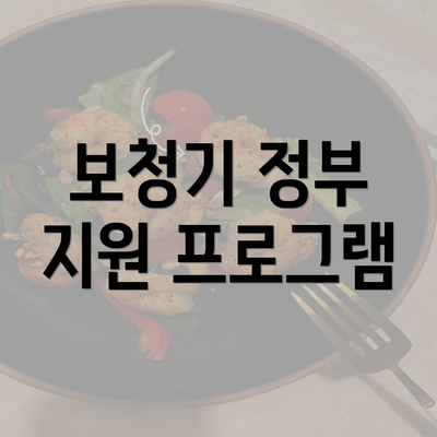 보청기 정부 지원 프로그램