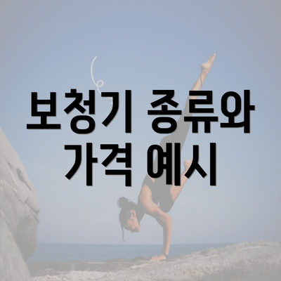 보청기 종류와 가격 예시