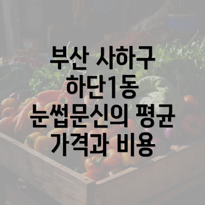 부산 사하구 하단1동 눈썹문신의 평균 가격과 비용