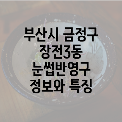 부산시 금정구 장전3동 눈썹반영구 정보와 특징