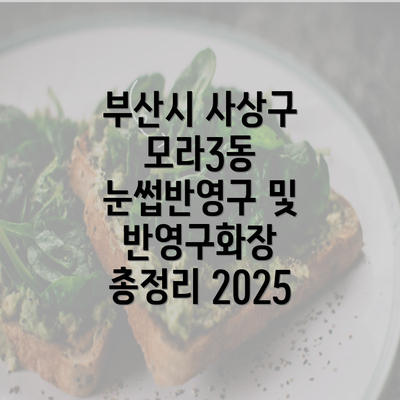 부산시 사상구 모라3동 눈썹반영구 및 반영구화장 총정리 2025