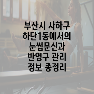 부산시 사하구 하단1동에서의 눈썹문신과 반영구 관리 정보 총정리