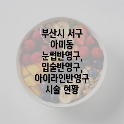 부산시 서구 아미동 눈썹반영구, 입술반영구, 아이라인반영구 시술 현황