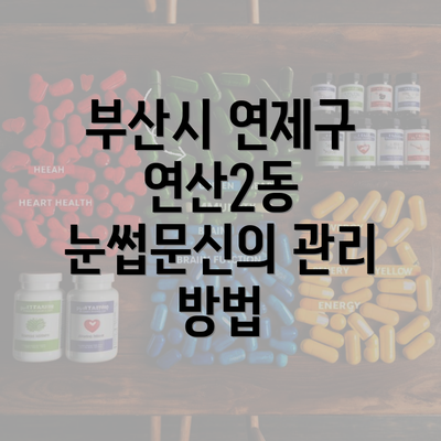 부산시 연제구 연산2동 눈썹문신의 관리 방법