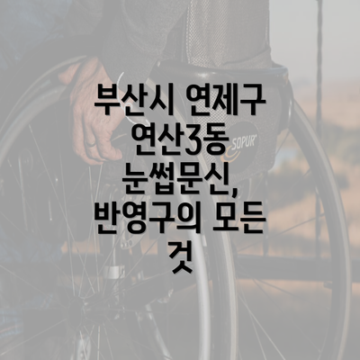 부산시 연제구 연산3동 눈썹문신, 반영구의 모든 것