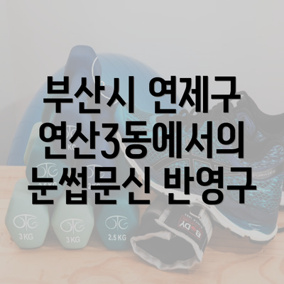 부산시 연제구 연산3동에서의 눈썹문신 반영구