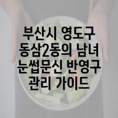 부산시 영도구 동삼2동의 남녀 눈썹문신 반영구 관리 가이드