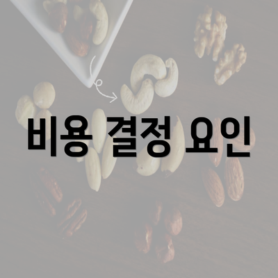 비용 결정 요인