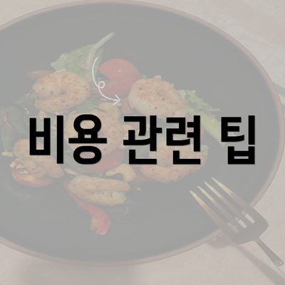 비용 관련 팁