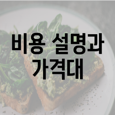 비용 설명과 가격대