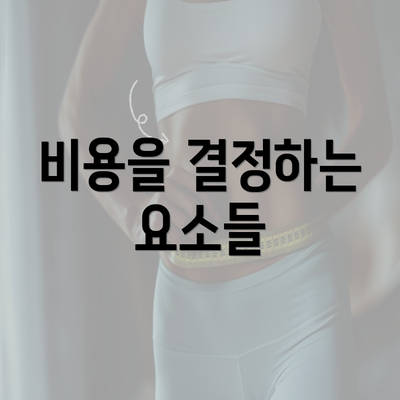 비용을 결정하는 요소들