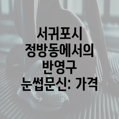 서귀포시 정방동에서의 반영구 눈썹문신: 가격