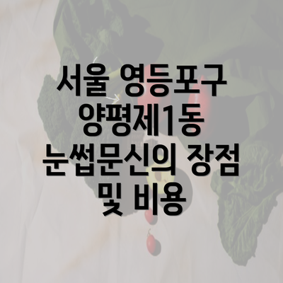 서울 영등포구 양평제1동 눈썹문신의 장점 및 비용