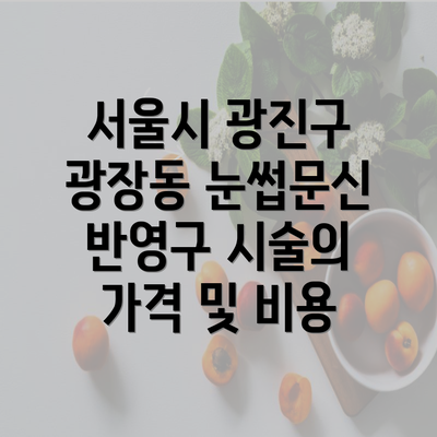 서울시 광진구 광장동 눈썹문신 반영구 시술의 가격 및 비용