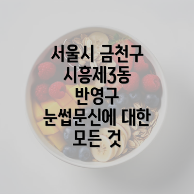 서울시 금천구 시흥제3동 반영구 눈썹문신에 대한 모든 것