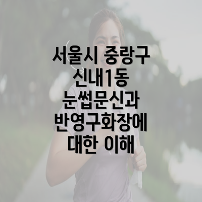 서울시 중랑구 신내1동 눈썹문신 관리와 비용