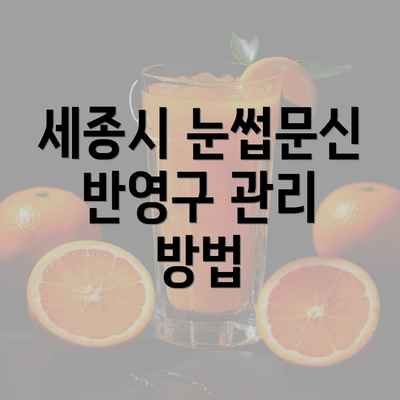 세종시 눈썹문신 반영구 관리 방법