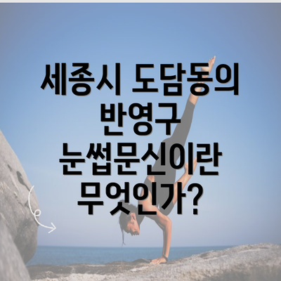 세종시 도담동의 반영구 눈썹문신이란 무엇인가?