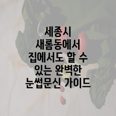 세종시 새롬동에서 집에서도 할 수 있는 완벽한 눈썹문신 가이드