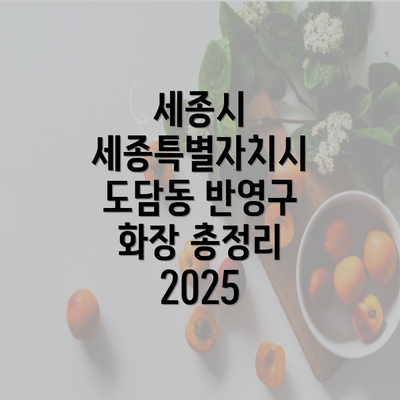 세종시 세종특별자치시 도담동 반영구 화장 총정리 2025