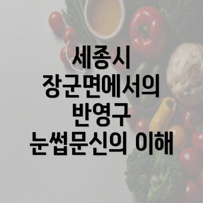 세종시 장군면에서의 반영구 눈썹문신의 이해