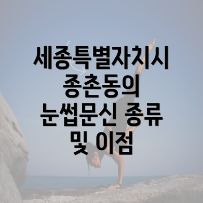 세종특별자치시 종촌동의 눈썹문신 종류 및 이점