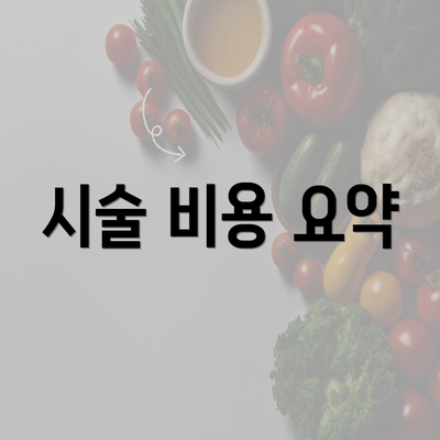 시술 비용 요약